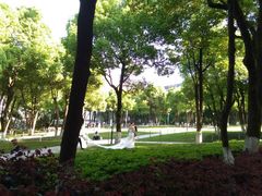 -重庆市江北嘴中央商务区中央公园