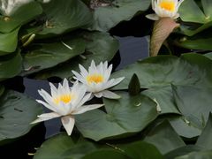 -长春市南湖公园