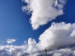 -撒拉人家.酸菜牦牛肉火锅