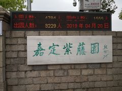 -嘉定紫藤园