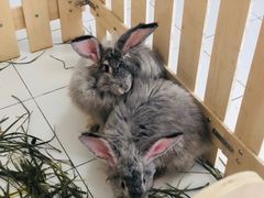 -Blue Concept Cafe&Farm·關於藍