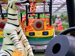 -南宫五洲植物乐园