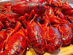 清蒸蘸水虾-霸王虾·麻辣小龙虾(清水河公园店)