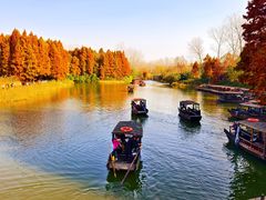 -溱湖国家湿地公园