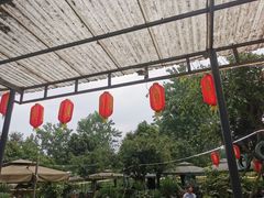 -苏记溪河鲢鱼庄(天府新区店)