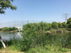 -九里河湿地公园