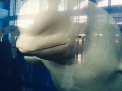 -泉城欧乐堡海洋极地世界