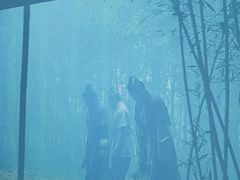 -立里春天印象·影院足疗轻养SPA(二十四城店)