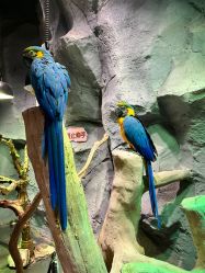 -Zoolung Zoolung动物主题公园(海信广场店)