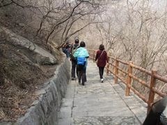 -神农山景区