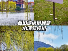 -西山漾湿地公园