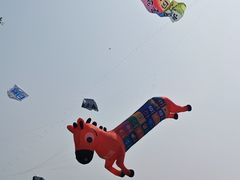 -潍坊滨海云门国际风筝放飞场