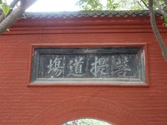 -洛阳白马寺