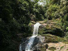-碧峰峡风景区