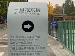 -三里屯东五街银杏大道