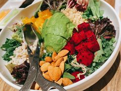 芥子酱羽翼甘蓝沙拉-小大董·烤鸭(凤凰汇店)