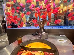 -朱光玉火锅馆(正弘城店)