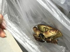 -盒马鲜生(宝地店)