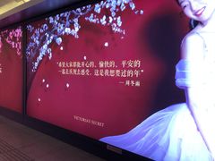 -大望路(地铁站)