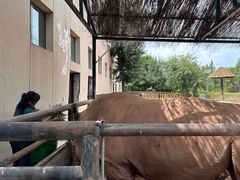 -鄂尔多斯野生动物园