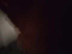 -樹下遇见树·咖啡