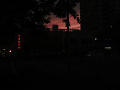 -八两八金·莱芜特色炒鸡(市南漳浦路店)