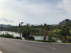 -枫香湖儿童公园