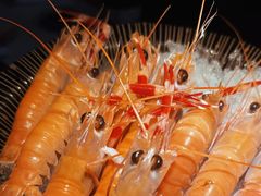 -黑木原精致料理·铁板烧