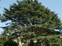 -青岛德国总督楼旧址博物馆