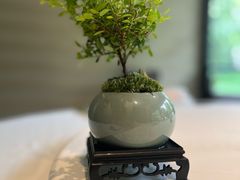 -侨美·唐荔园食艺馆