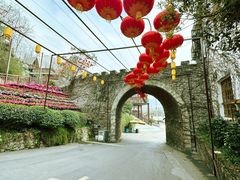 -巴倒烫陆派火锅山庄(南山总店)