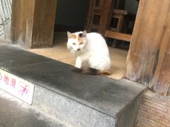 -龙达温泉生态城