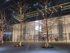 -Apple零售店(华贸购物中心店)