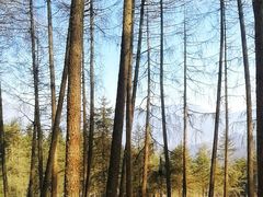 -硗碛藏寨·神木垒景区