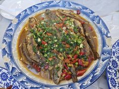 -菜当家