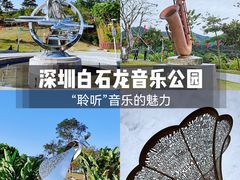 -白石龙音乐公园