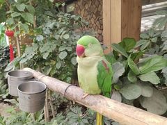 -南宫五洲植物乐园