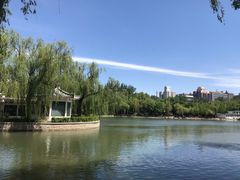 -青年湖公园水上世界