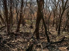 -丹东丛炟海鲜烧烤(江艺路店)