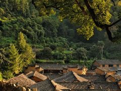 -杨家堂村