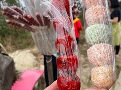 -梧桐山风景名胜区