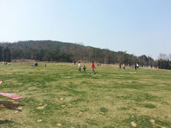 android_upload_pic-童牛岭风景区