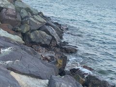 -芽庄MP泰式海鲜海景餐厅