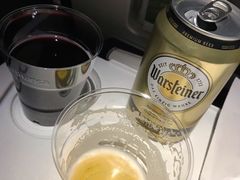 -德国汉莎航空公司