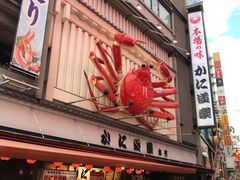 -蟹道乐(道顿堀本店)