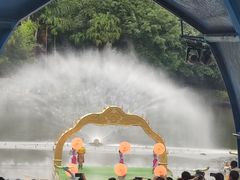 -西双版纳原始森林公园