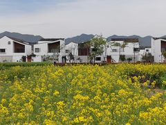 -东梓关景区村庄