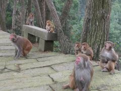 -重庆雨台山风景区
