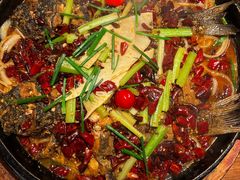 -老板恋上鱼(恒隆广场店)