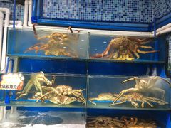 -蚝专家(北滘店)